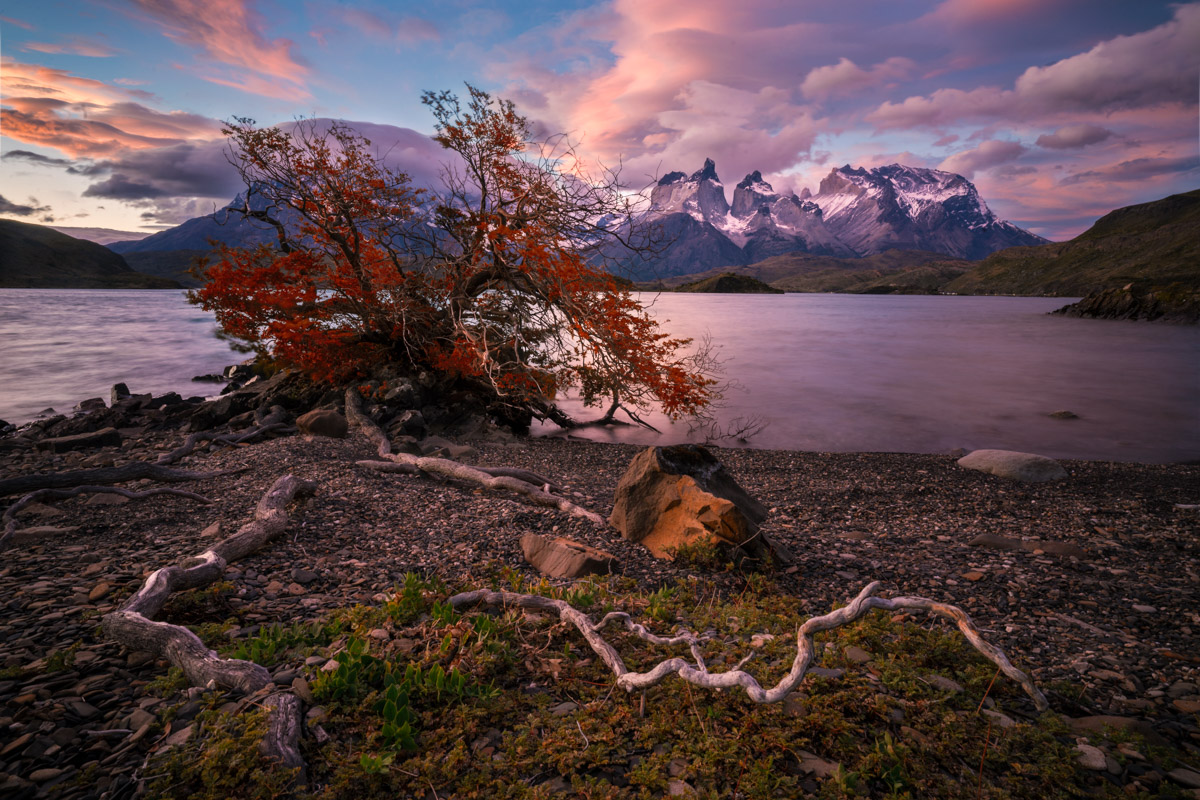 Lago Pehoe.2x3